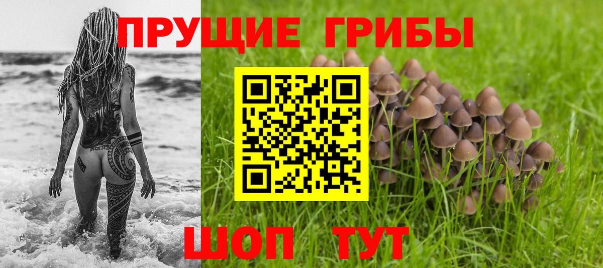 Курчалой  Псилоцибиновые грибы GOLDEN TEACHER  Галлюциногенные грибы мухоморы  Вход с VPN 